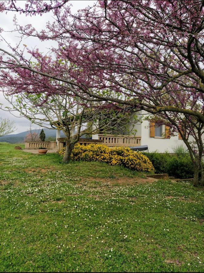 Bed and Breakfast Casale Artemisia Capalbio Exterior foto